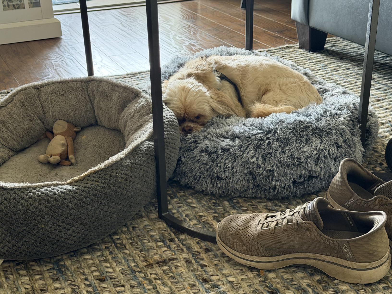 JOLLYVOGUE Calming Dog Bed Medium Size Dog, 31in Donut Washable Medium Pet Bed, Anti-Slip & Anti-Anxiety Fluffy Faux Fur Round Dogs Bed, Fits up to 45 lbs Pets (Smoke Grey) customer photo 1