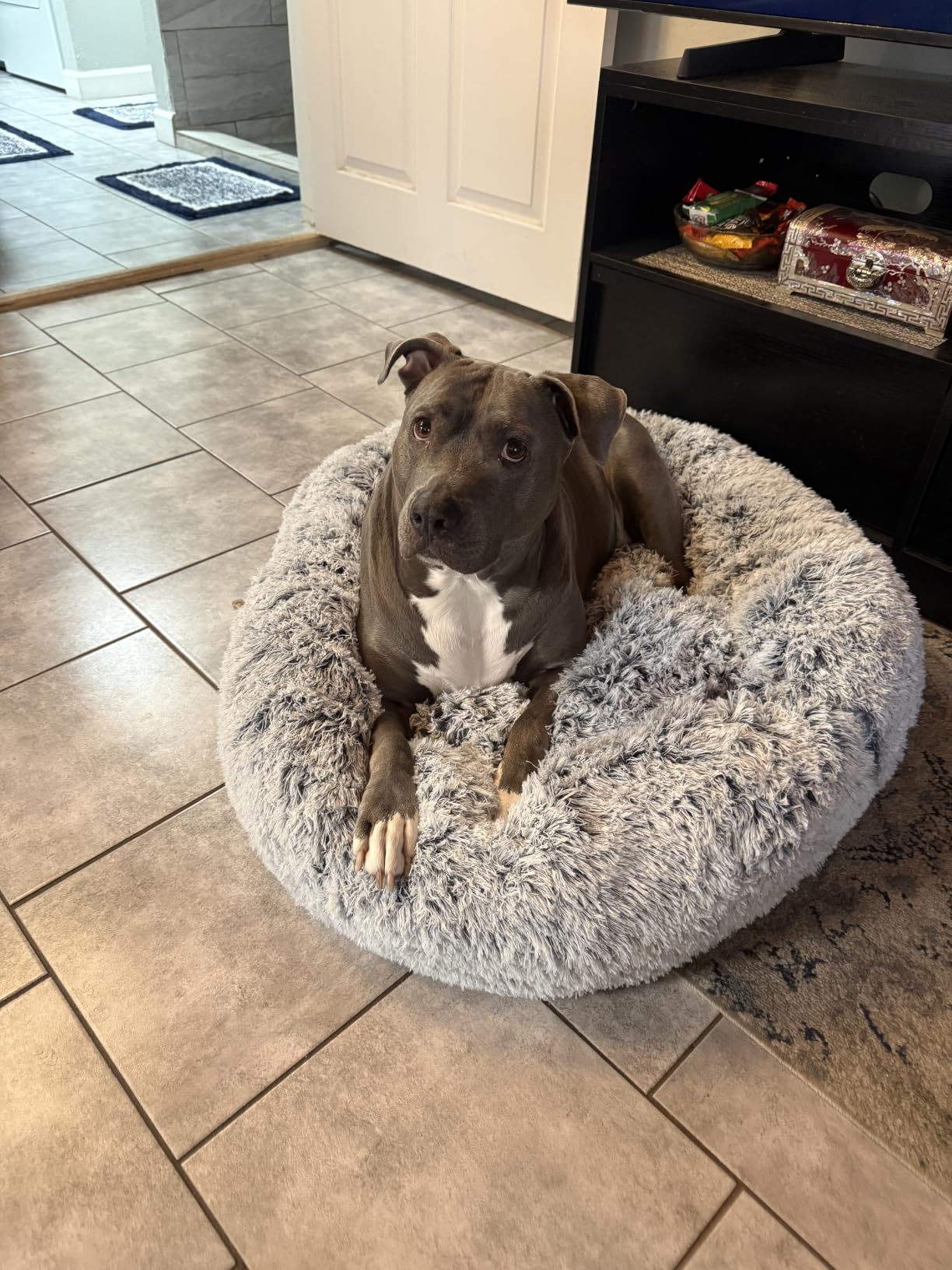 JOLLYVOGUE Calming Dog Bed Medium Size Dog, 31in Donut Washable Medium Pet Bed, Anti-Slip & Anti-Anxiety Fluffy Faux Fur Round Dogs Bed, Fits up to 45 lbs Pets (Smoke Grey) customer photo 2