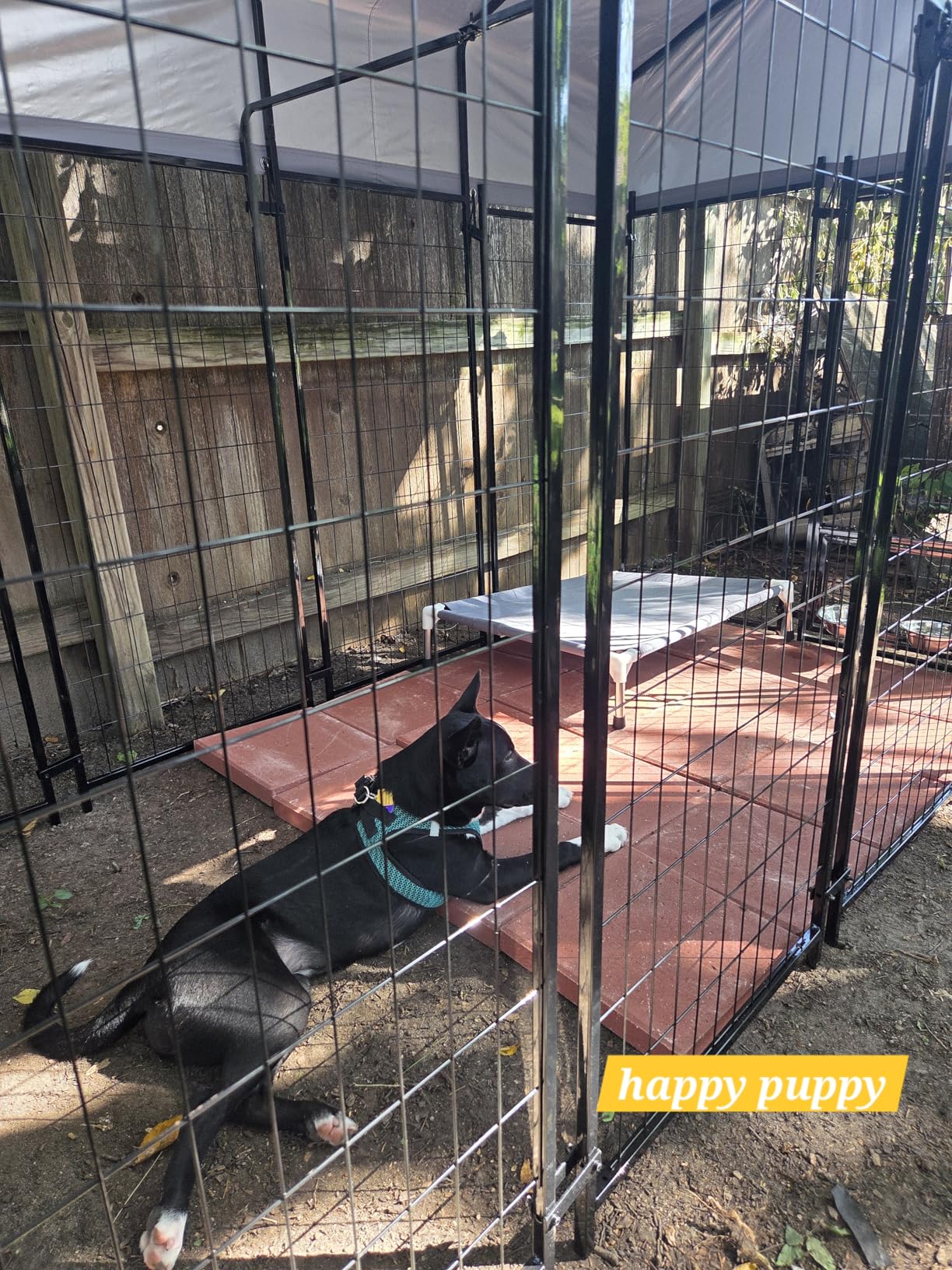 Oranland 8x4x6FT Outdoor Dog Kennel, Heavy Duty Welded Wire Steel Dog Kennel for Large Dogs with Secure Lock, Upgraded Heat Dissipation & Reflective Silver Waterproof Roof with 2 Rotating Dog Bowls customer photo 2