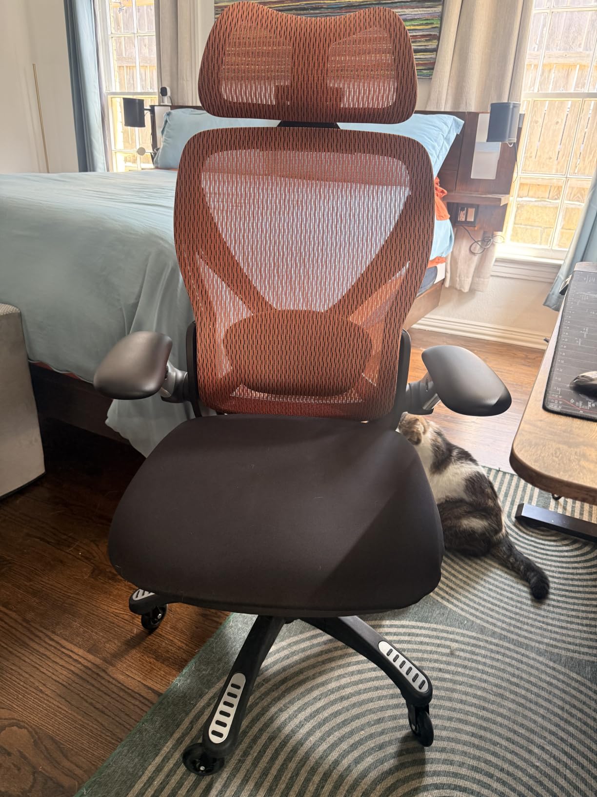 ELABEST X100 Ergonomic Mesh Office Chair with Footrest, Big and Tall Hone Desk Chair with 5D Flip-Up Arms, Adjustable 3D Lumbar Support, Gaming & Executive Computer Chairs customer photo 1