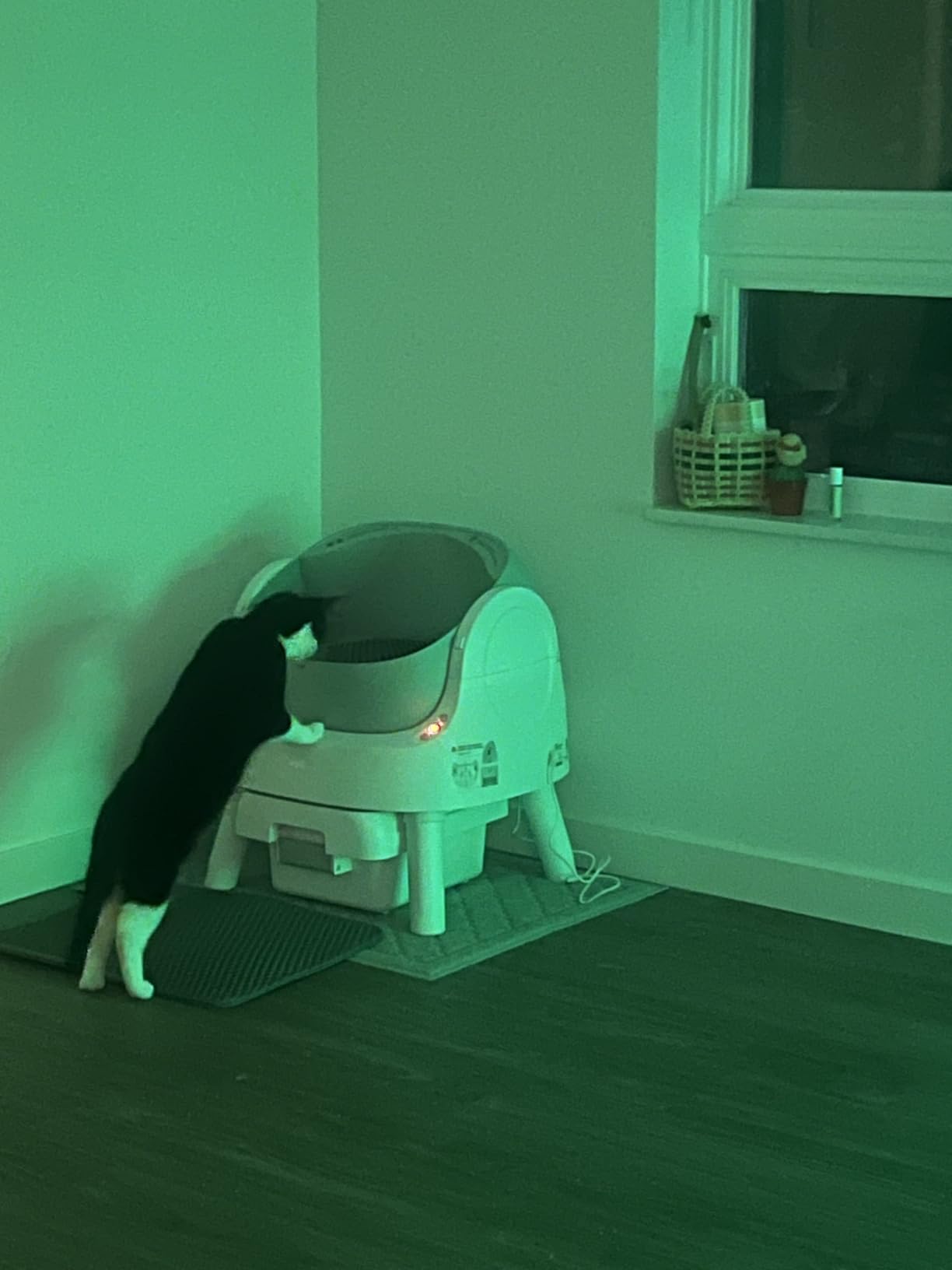 Self Cleaning Cat Litter Box, Automatic Litter Box for Multiple Cats, Integrated Safety Protection with Open-Top Design customer photo 2