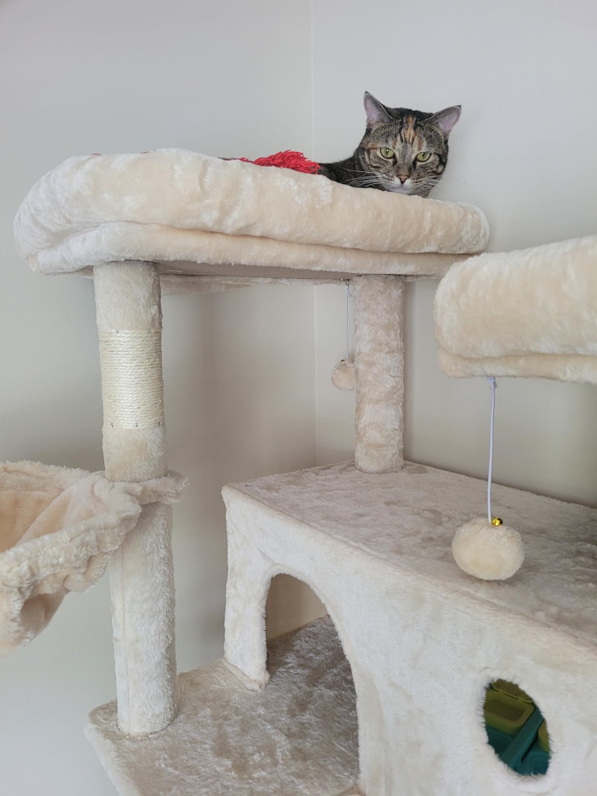 SHA CERLIN 81in Multi-Level Tall Cat Tree Tower for Indoor Kitties/Larger Cat Condo Furniture with Hammock/Cozy Pussycat Perches/Sisal Scratching Posts/Pet House/Wide Base/Beige customer photo 1