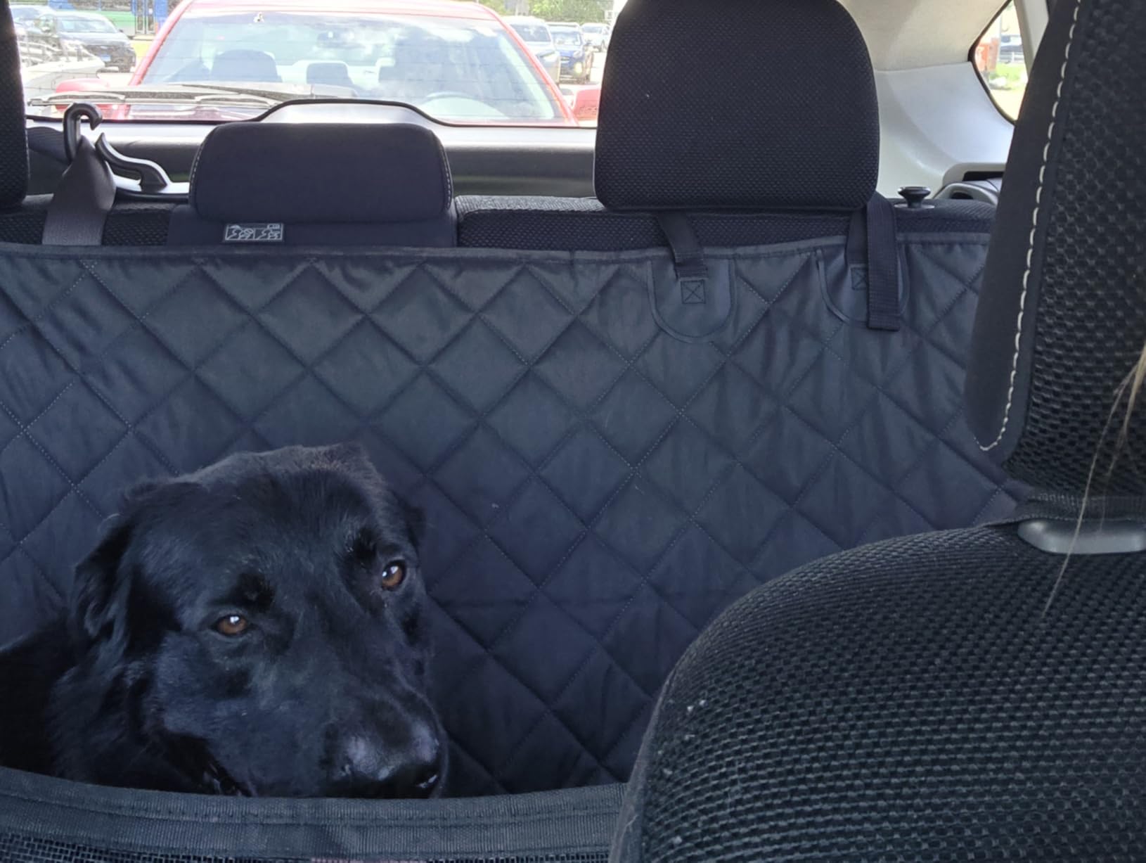 URPOWER Backseat Extender for Dogs - Hard Bottom Dog Car Seat Cover for Back Seat, Dog Hammock for Car and SUV, Pet Rear Seat Protector Dogs Travel Bed with Mesh Window customer photo 1