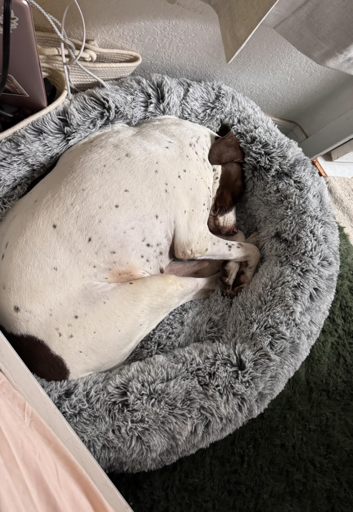 36 inches Donut Dog Bed for Large Dogs - Calming Fluffy Round Pet Bed with Removable & Washable Cover, Fits up to 80 lbs Pets (Dark Grey,Large) customer photo 1