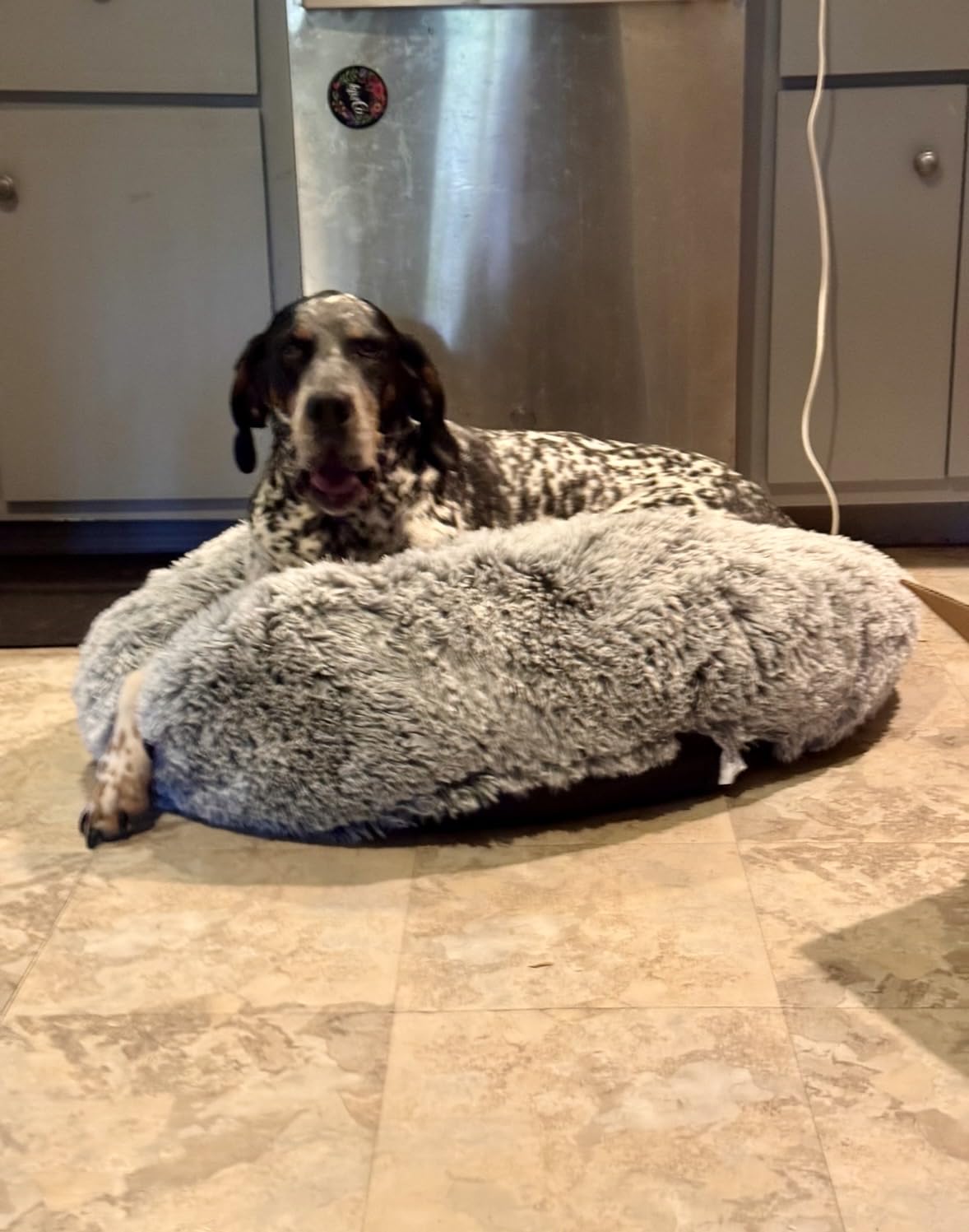 36 inches Donut Dog Bed for Large Dogs - Calming Fluffy Round Pet Bed with Removable & Washable Cover, Fits up to 80 lbs Pets (Dark Grey,Large) customer photo 2