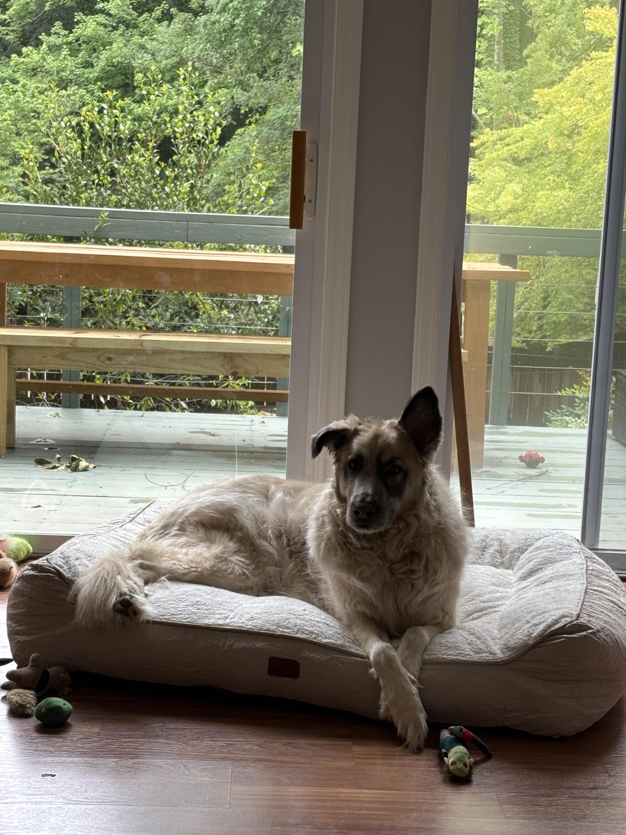 Bedsure SupportMax XL Orthopedic Dog Beds Large Sized Dog - Extra Thick Supportive Dogs Couch with Waterproof Washable Cover, Extra Large Comfort Pet Sofa with Soft Sherpa & Nonskid Bottom, Grey, 42