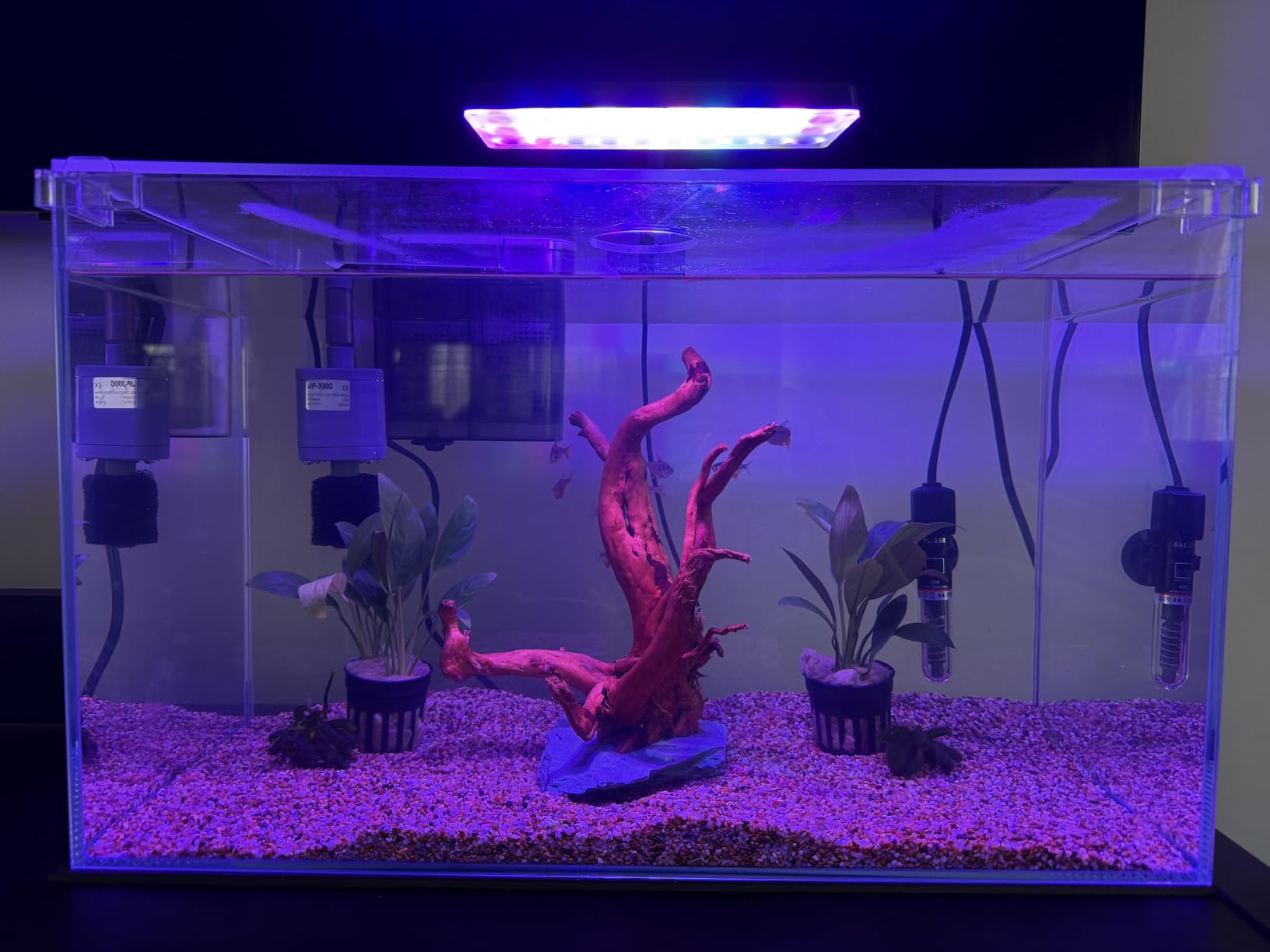 Vimvins 10 Gallon Glass Small Fish Tank with Filter Light and Lid, Aquarium Starter Kit customer photo 1