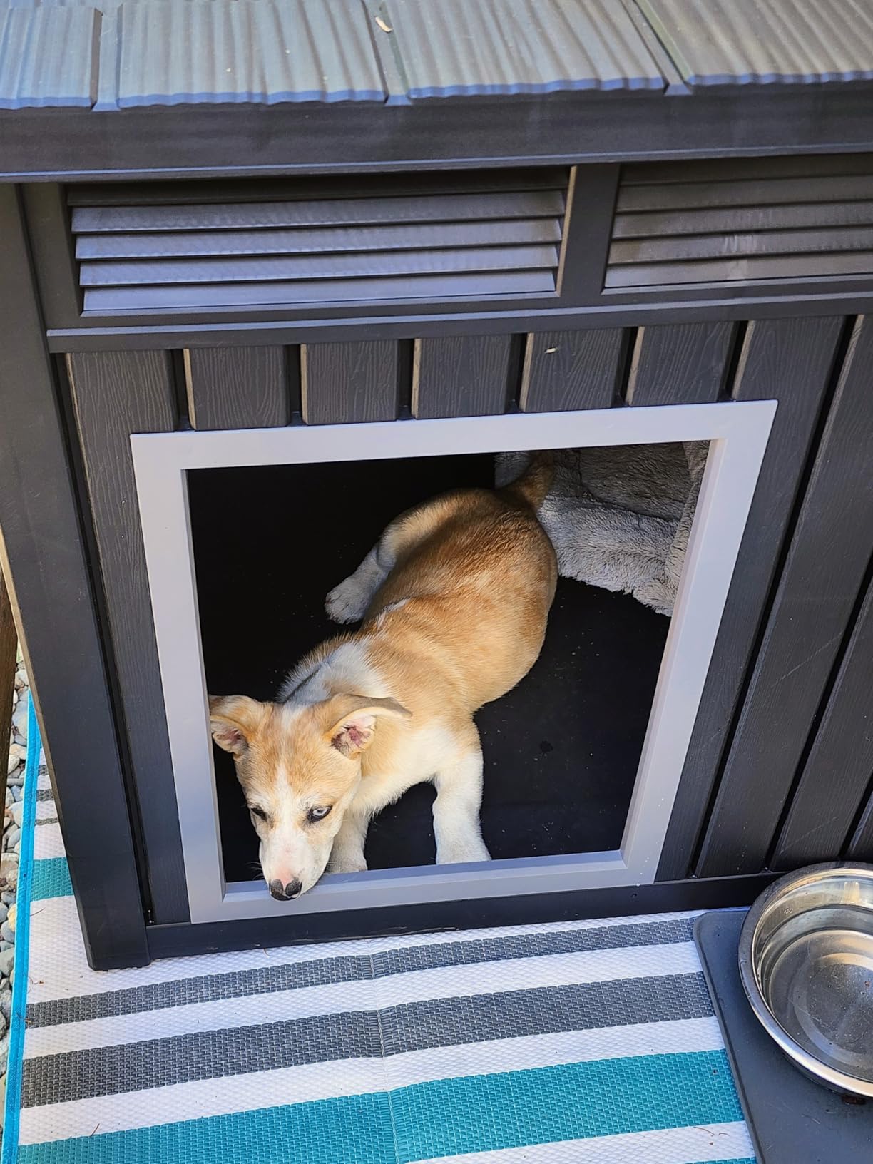 DRATO Large Dog House Outdoor for Indoor with Weatherproof & Removable Roof,Fits Small to Large (Gray, 42.87 * 32.95 * 31.61'') customer photo 1