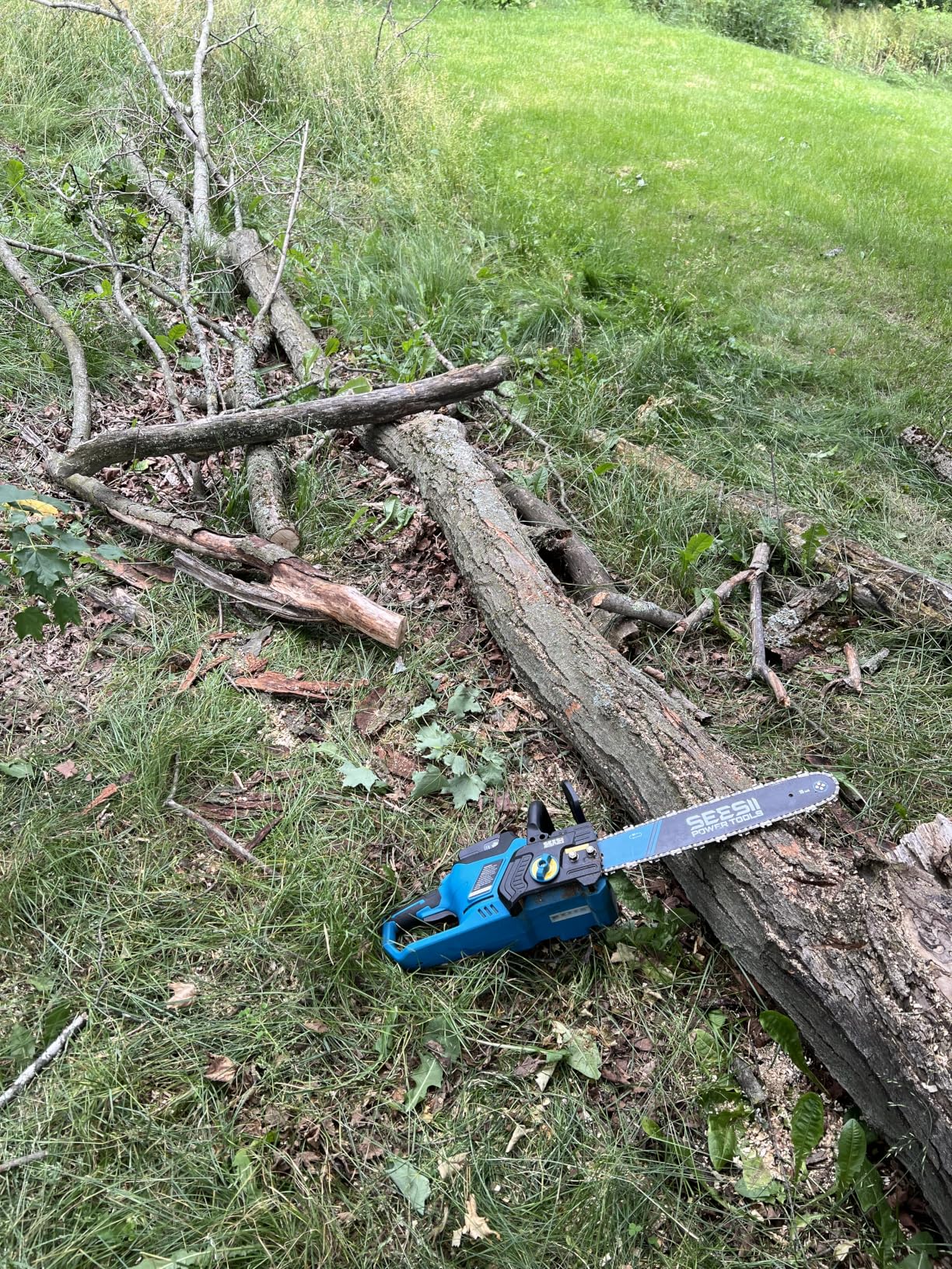 SEESII 40V 16-Inch Cordless Chainsaw: Brushless Electric Chain Saws with 2x4.0Ah Batteries & Charger, Tool-Free Chain Tension, Auto Oiling customer photo 2