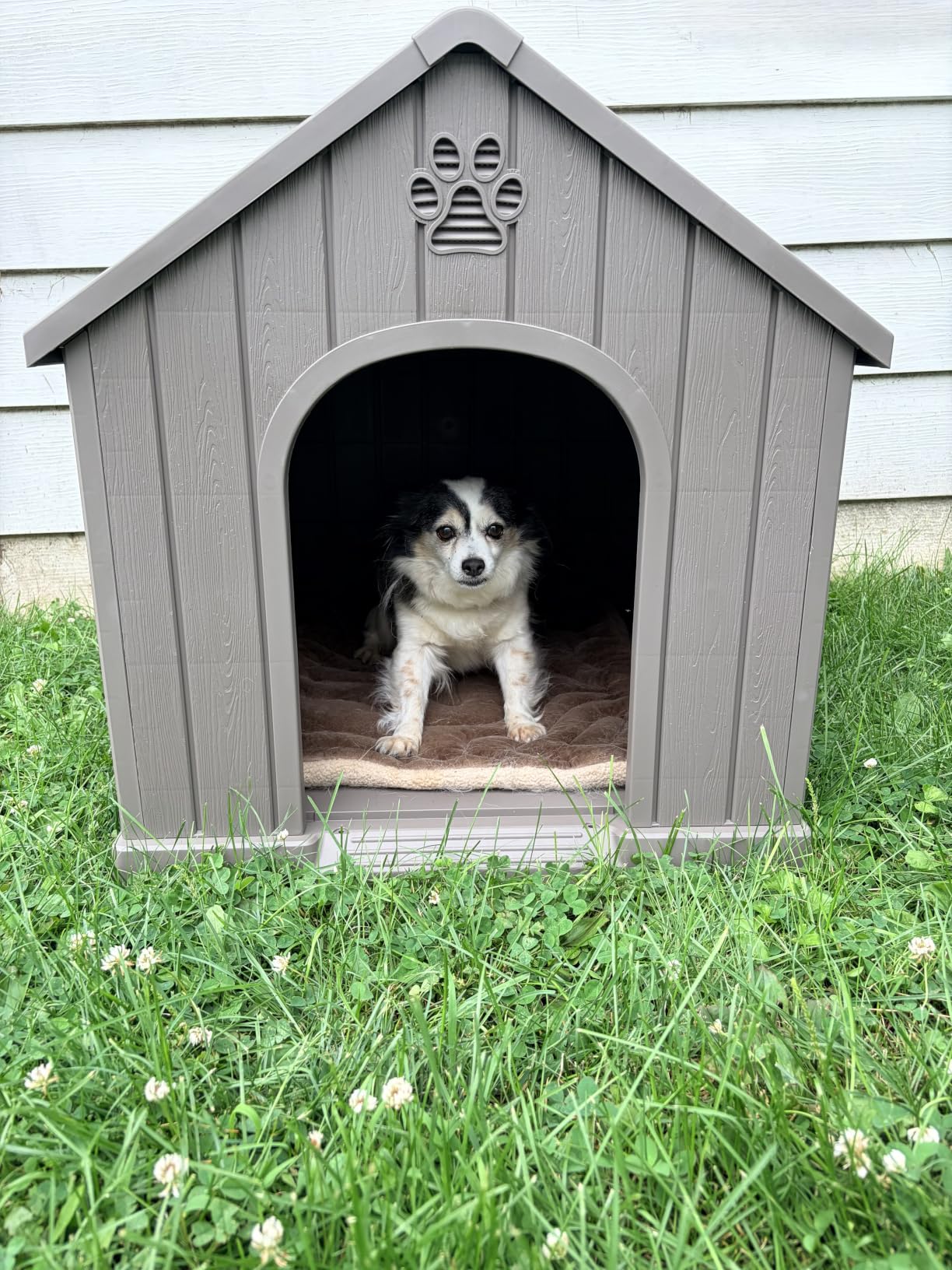 Fancyango Large Dog House Outdoor Indoor for Medium Large Dogs, Sturdy Plastic Waterproof Doghouse with Air Vents and Elevated Floor, Easy Clean and Assemble (Grey, 36.2''Lx38''Wx38''H) customer photo 1