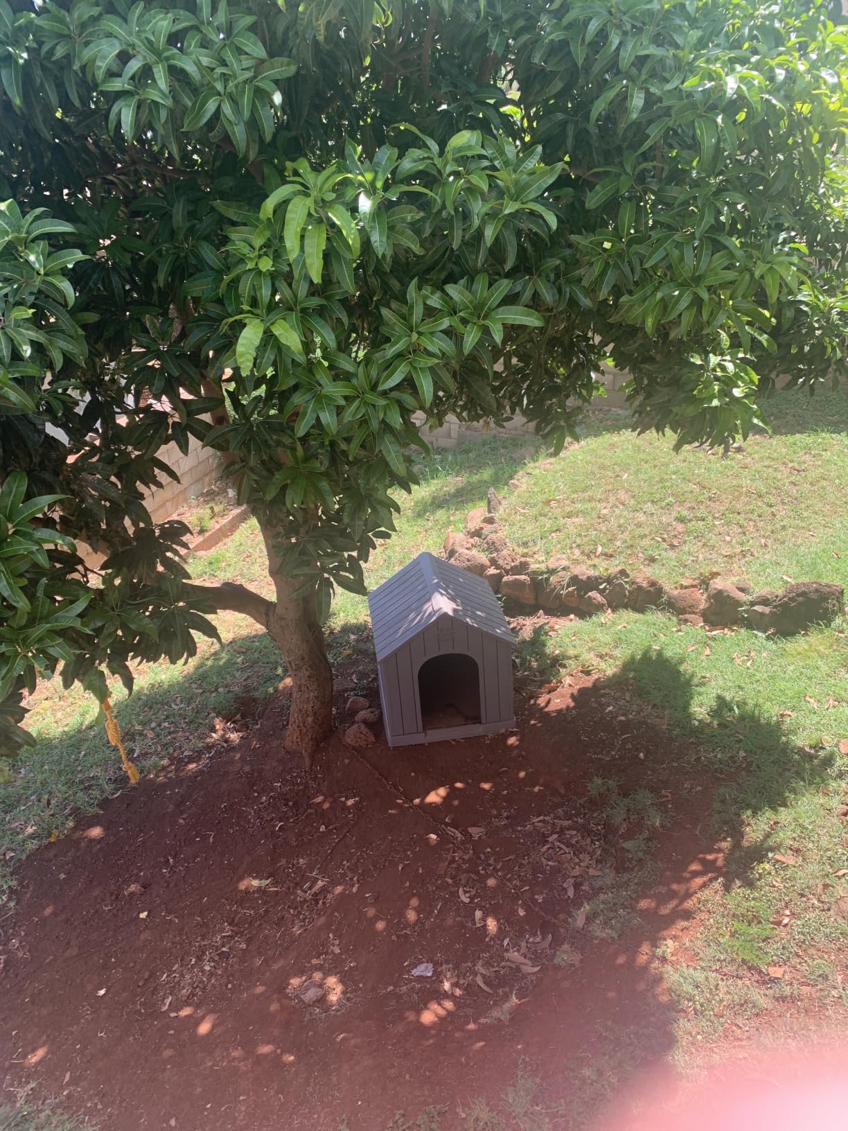 Fancyango Large Dog House Outdoor Indoor for Medium Large Dogs, Sturdy Plastic Waterproof Doghouse with Air Vents and Elevated Floor, Easy Clean and Assemble (Grey, 36.2''Lx38''Wx38''H) customer photo 2