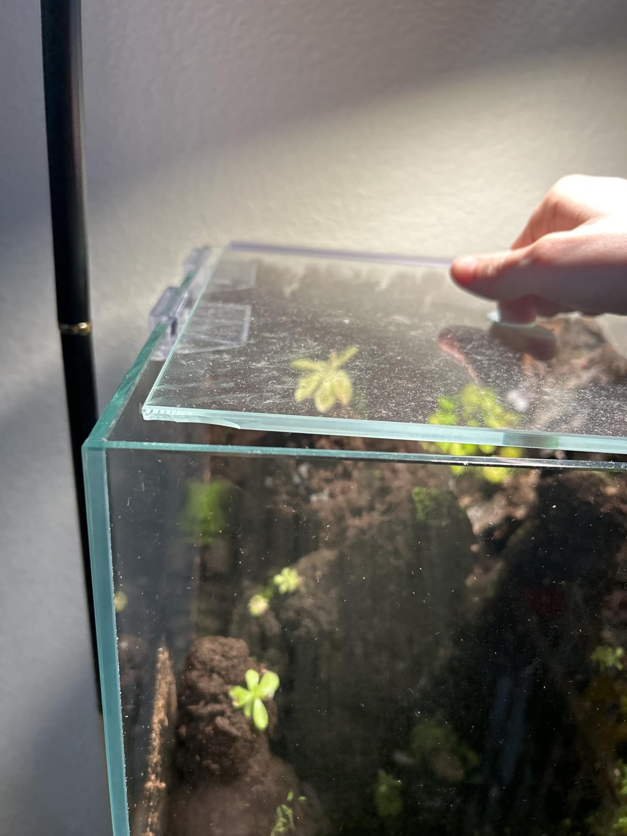 Allcolor Ultra Clear Rimless Aquarium Tank Low Iron Glass Side Filtration + Anti-Jumping net (40Gal) customer photo 1