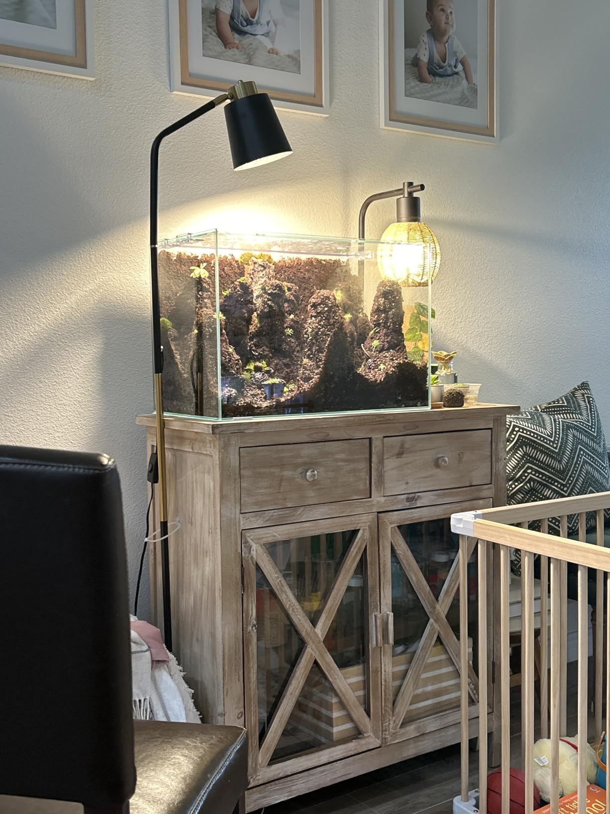 Allcolor Ultra Clear Rimless Aquarium Tank Low Iron Glass Side Filtration + Anti-Jumping net (40Gal) customer photo 2