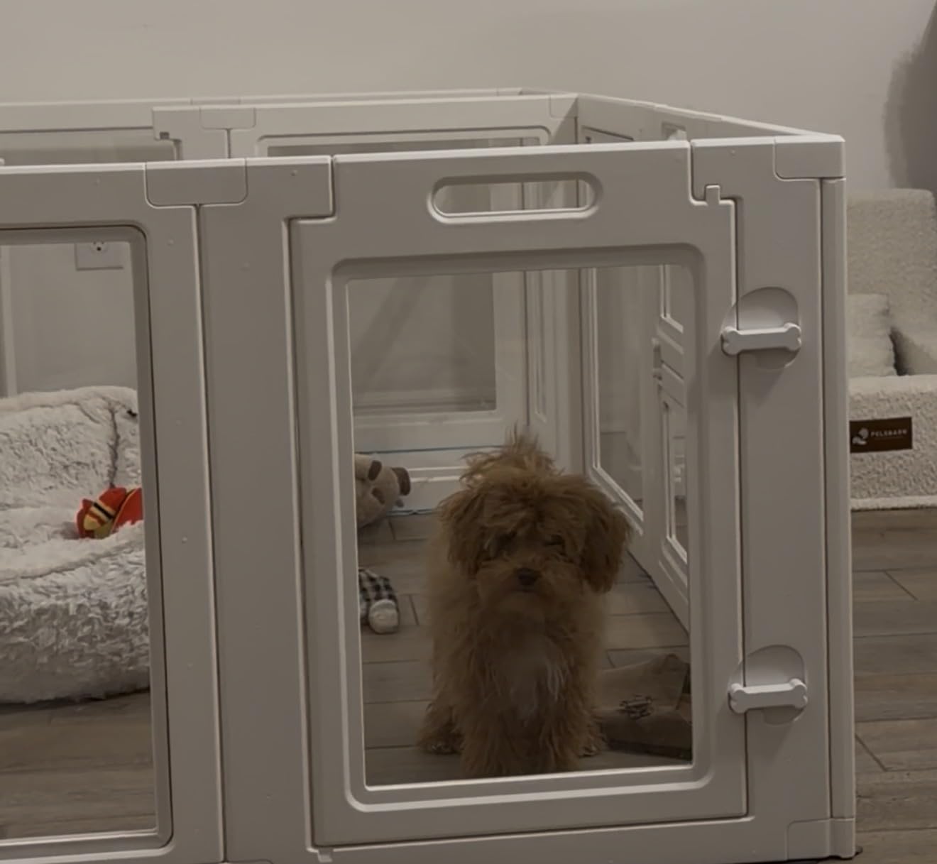 FXW AuraSpace Acrylic Indoor Dog Playpen for Puppies and Small Dogs, 24 Inch, 12 Panels, White customer photo 2