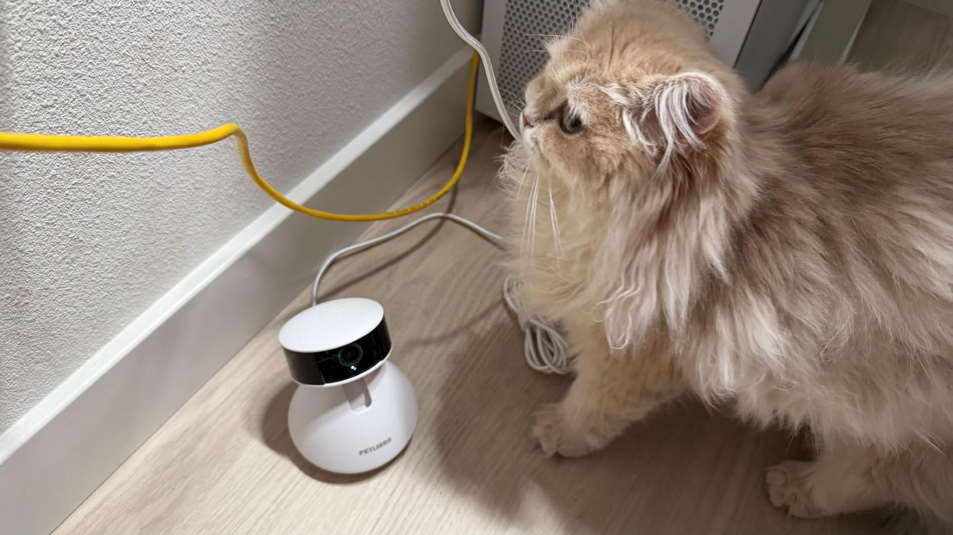 PETLIBRO AI Dog Camera Pet Camera Indoor with Phone App [Multi-Pet Recognition, Daily Activity Analysis & Smart Summaries] Cat Cam 360 Degree View, 1080P Dog Cam Night Vision, 2-Way Audio Home Camera WiFi customer photo 2