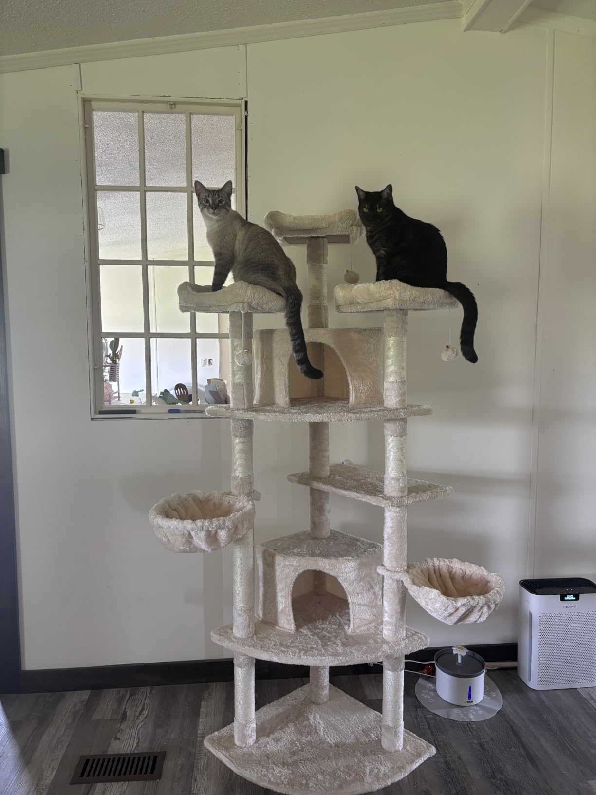 Allewie 73in Fan-Shaped Space-Saving Corner Cat Tower/Multi-Level Tall Cat Tree for Indoor Kitties/Cozy Baskets/Condos/House/Perches/Sisal Scratching Posts/Pet Activity Center/Grey customer photo 2