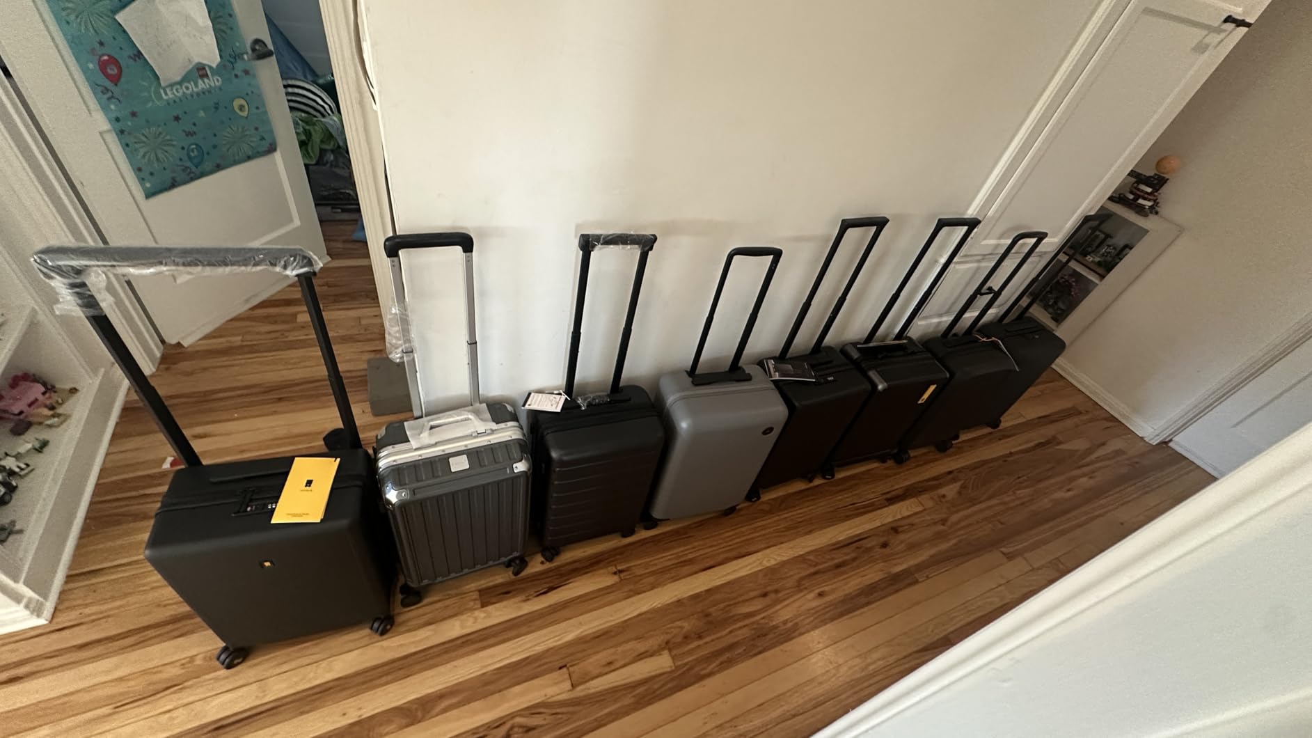 Bellroy Transit Carry-On (41L carry-on luggage, with hard shell and removable packing cells) - Everglade customer photo 1