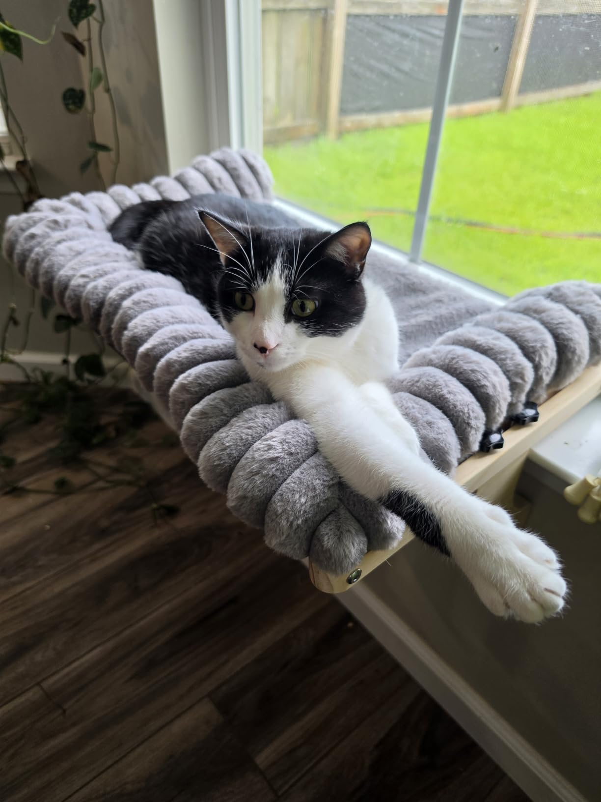 Cloud-Soft Cat Window Sill Perch with Zipper Designed Cushioned Bed, Supportive Cat Window Seat with Premium Solid Wood & Sturdy Metal Frame, Pet Hammock Bed for Large Cats (Medium, White) customer photo 1