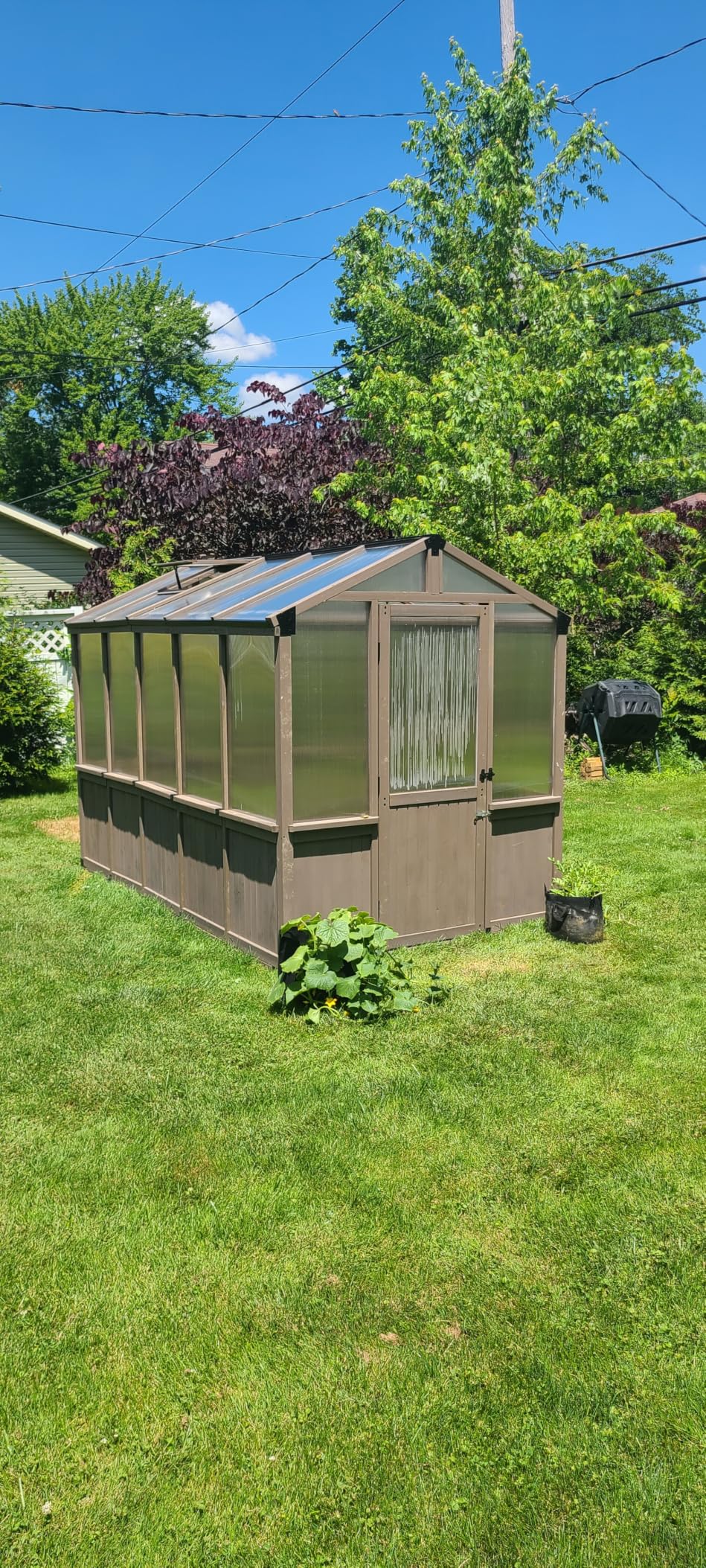 Aoxun 6x8 FT Wooden Greenhouse for Outdoors, Wood Gazebo Walk-in Green House Kit with Adjustable Roof Vent and Lockable Door, Heavy Duty Cedar Greenhouse for Outside, Backyard Garden, Natural customer photo 1