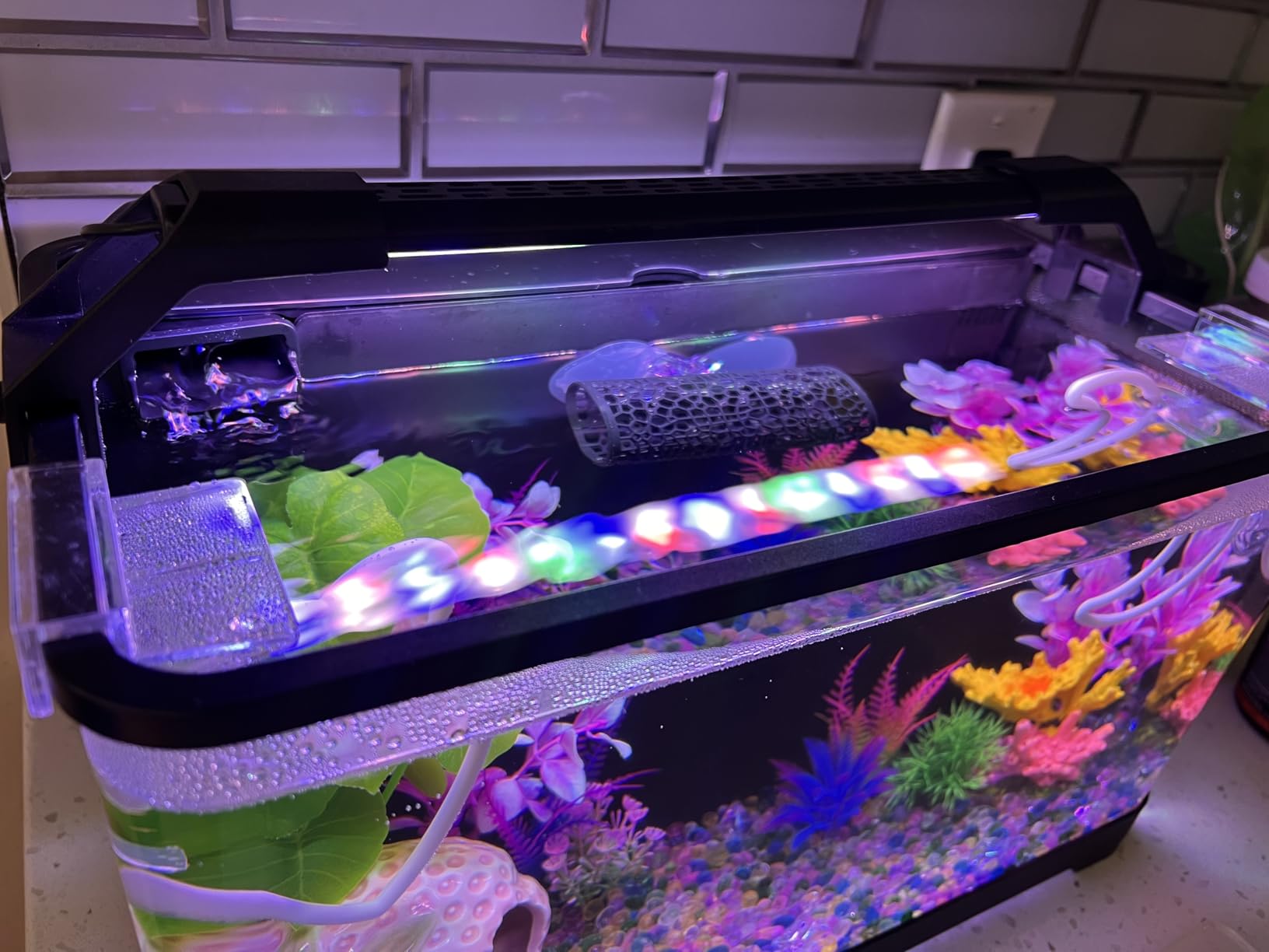 3.5 Gallon Betta Fish Tank, All in One Aquarium Starter Kits with Back Filter, Adjustable Pump, 25W Heater, LED Thermometer, LED Light with Timer & Water Changer Kit, Gifts for Mom Wife customer photo 1