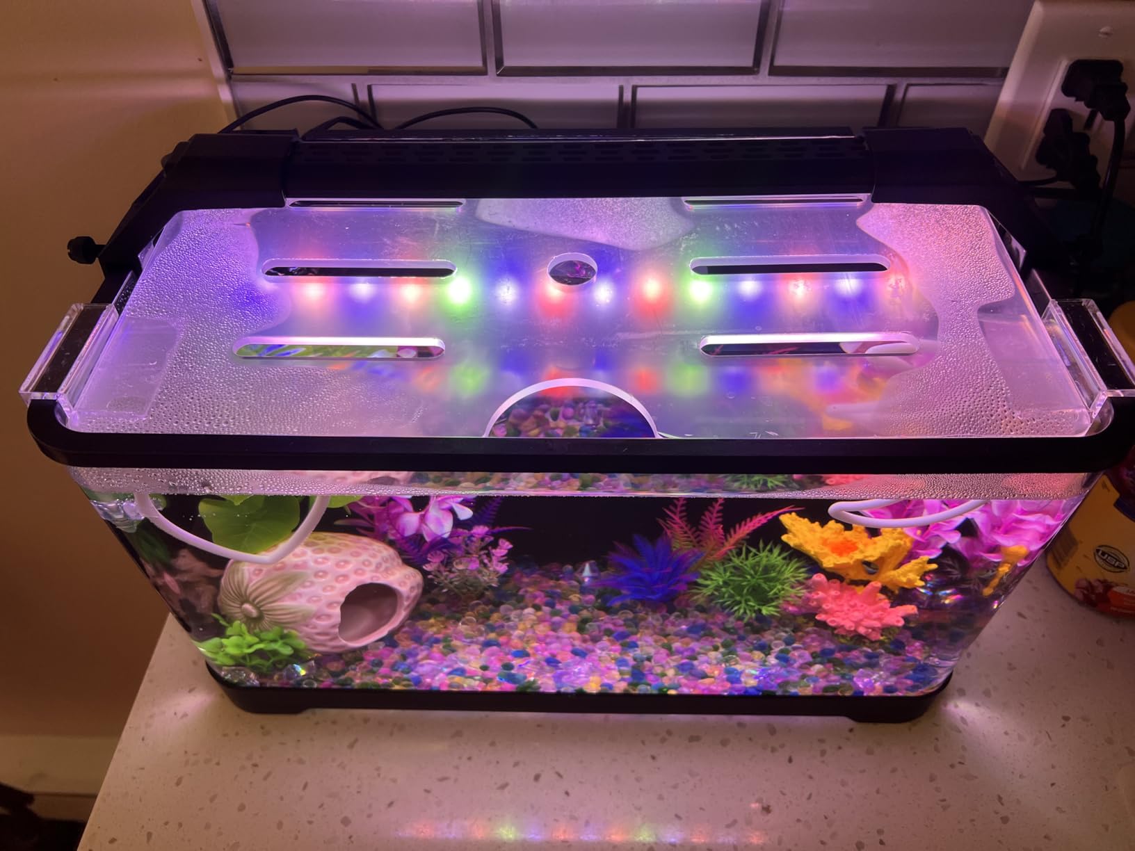 3.5 Gallon Betta Fish Tank, All in One Aquarium Starter Kits with Back Filter, Adjustable Pump, 25W Heater, LED Thermometer, LED Light with Timer & Water Changer Kit, Gifts for Mom Wife customer photo 2