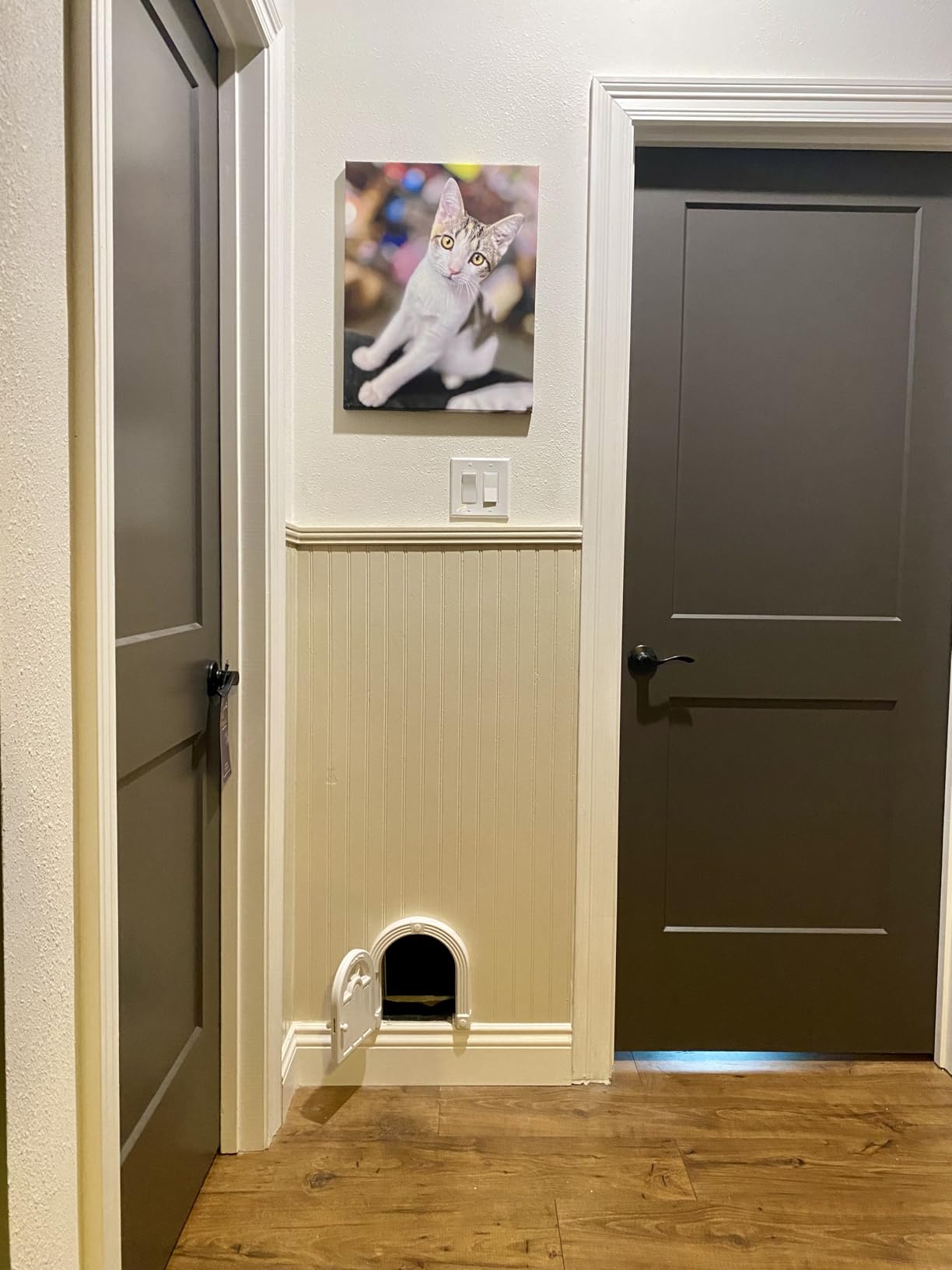 Stainless Steel Cat Litter Box, Extra Large XL Odor Free Metal Litter Box with High Sides Lid, Open Top Litter Pan Include Scoop Easy Cleaning Kitty Cat Box Anti-Urine Leakage, Non-Sticky customer photo 2