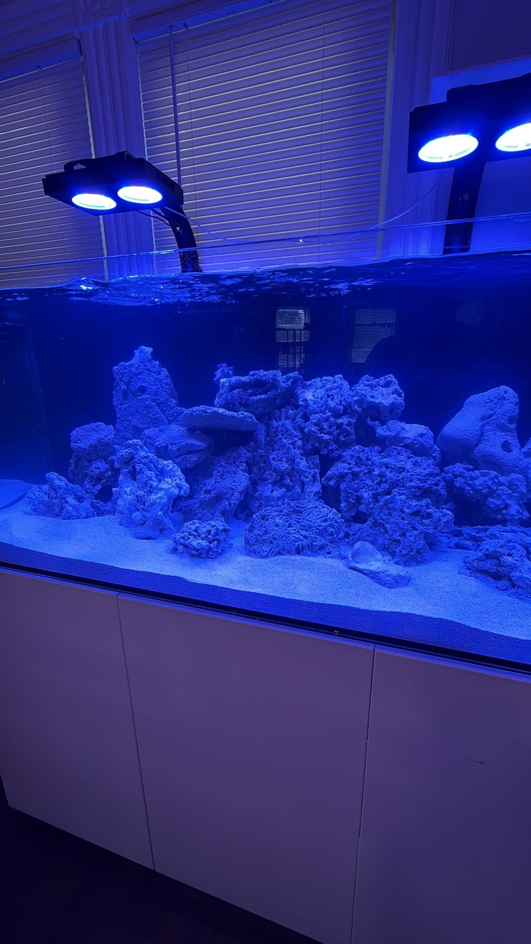 Aqua Dream 50 Gallon Rimless Glass Aquarium Reef System - Ultra Clear Marine Tank with Aluminum Cabinet, Integrated Sump & Plumbing, White customer photo 2