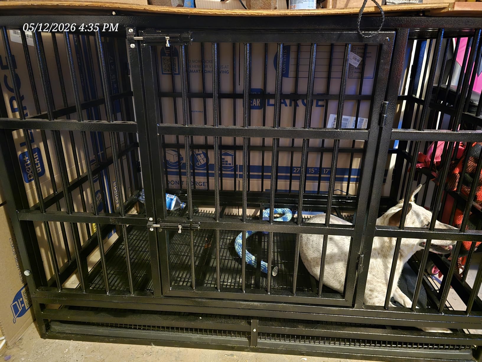 LEMBERI 48 Inch Heavy Duty Dog Crate, Indestructible Dog Kennel Indoor, Escape Proof Pet Cage for Large Dogs, High Anxiety Dog Crate with Double Door, Lockable Wheels & Removable Tray customer photo 1