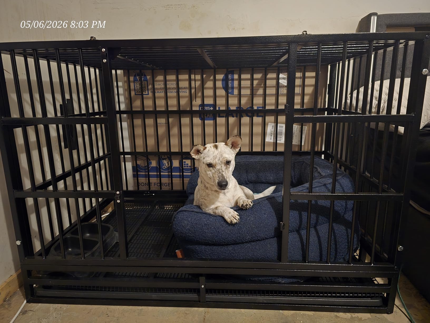 LEMBERI 48 Inch Heavy Duty Dog Crate, Indestructible Dog Kennel Indoor, Escape Proof Pet Cage for Large Dogs, High Anxiety Dog Crate with Double Door, Lockable Wheels & Removable Tray customer photo 2