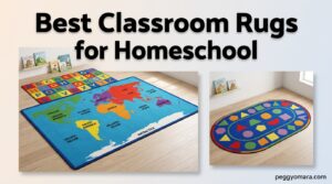 Best Classroom Rugs for Homeschool
