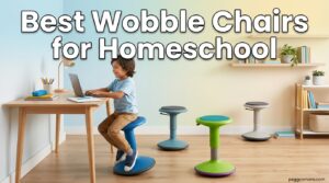 Best Wobble Chairs for Homeschool