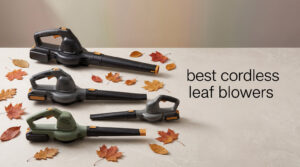 best cordless leaf blowers