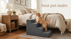 best pet stairs