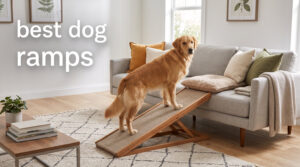 best dog ramps