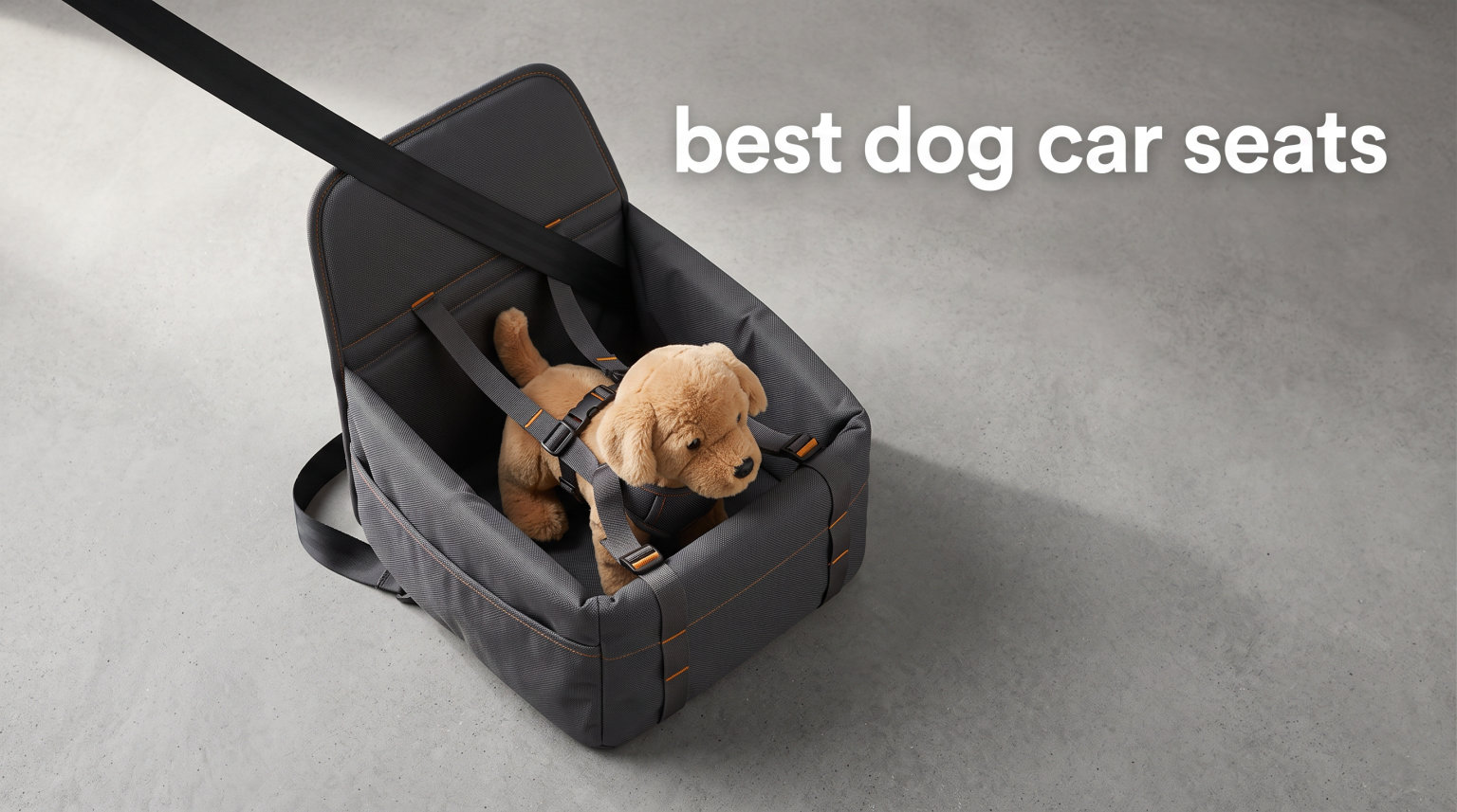 best dog car seats