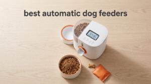 best automatic dog feeders