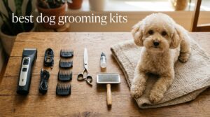 best dog grooming kits