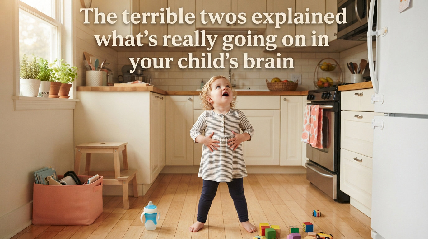 The terrible twos explained what's really going on in your child's brain