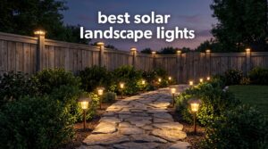 best solar landscape lights