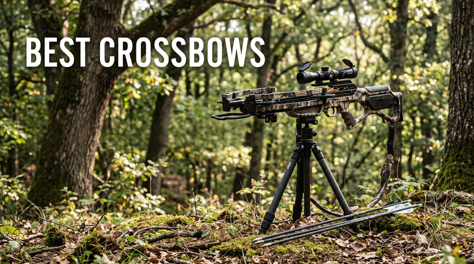 best crossbows