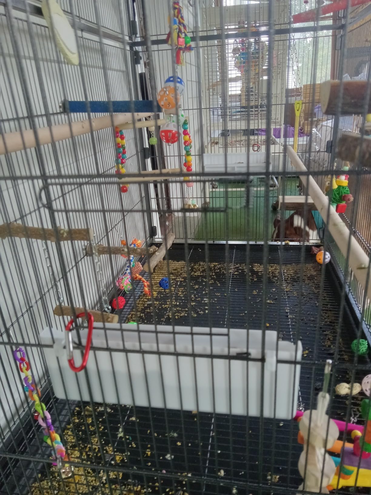 Prevue Hendryx Pet Products Wrought Iron Flight Cage - Big Rolling Bird Cage for Parakeets, Cockatiels, Conures, Lovebirds, Canaries, Finches, Parrotlets, & Caiques, 5 Ft - X-Large, Hammertone Black customer photo 1