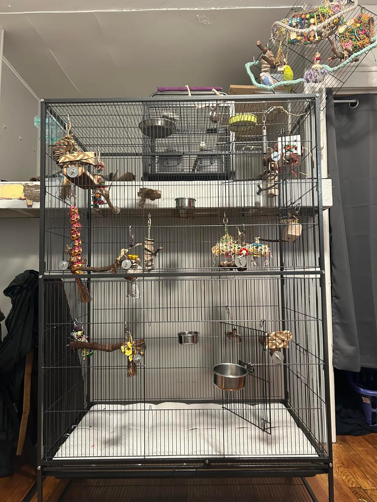 Prevue Hendryx Pet Products Wrought Iron Flight Cage - Big Rolling Bird Cage for Parakeets, Cockatiels, Conures, Lovebirds, Canaries, Finches, Parrotlets, & Caiques, 5 Ft - X-Large, Hammertone Black customer photo 2