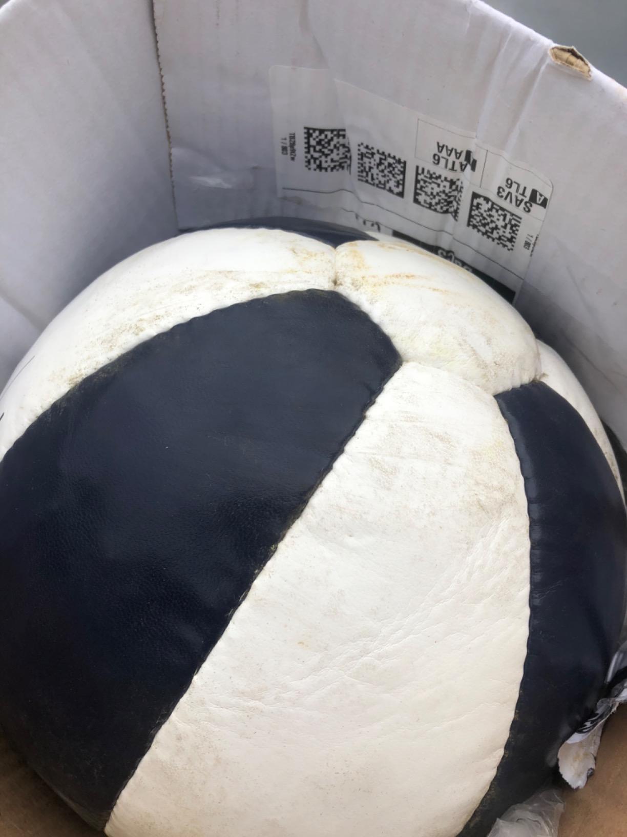 Champion Sports Leather Medicine Balls - Durable Weighted Balls for Strength, Core & Conditioning Training customer photo 1