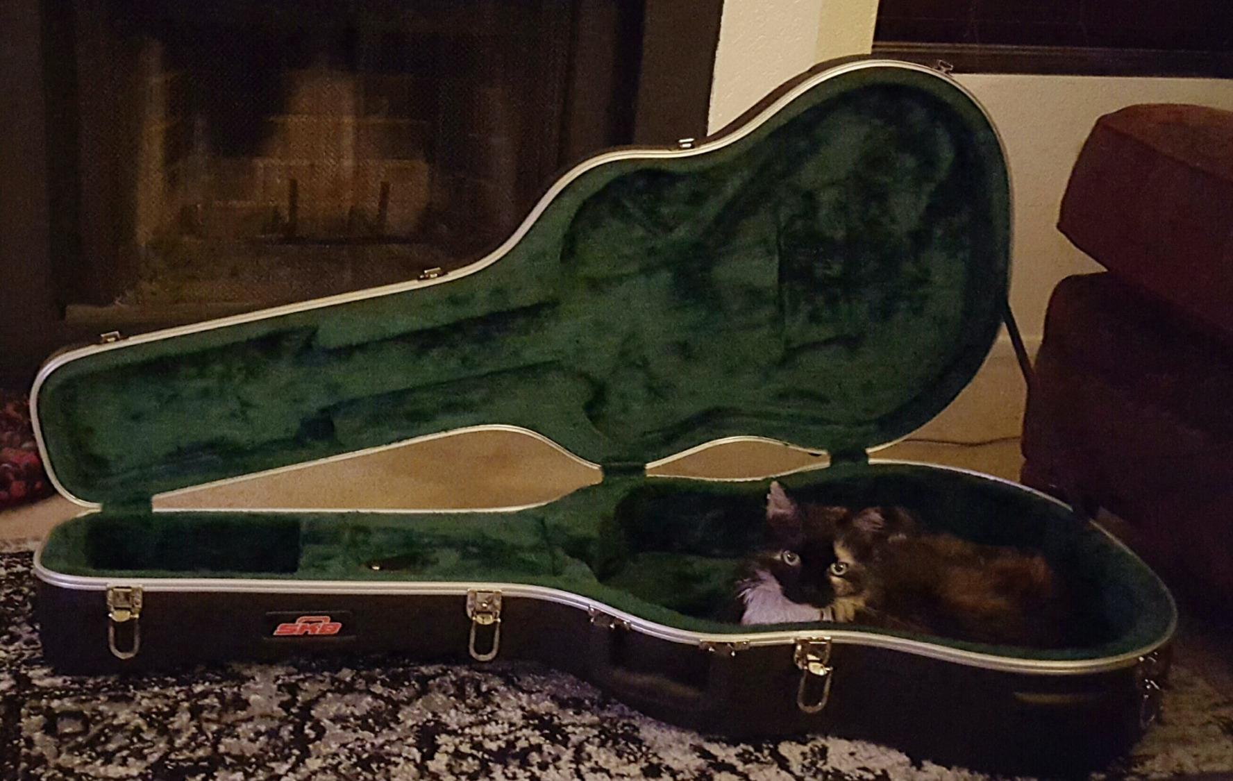 SKB Hardshell Travel Case for Dreadnought Acoustic Guitars, Molded In Bumpers for Protection, Plush Lined Interior and Latches, Black customer photo 1