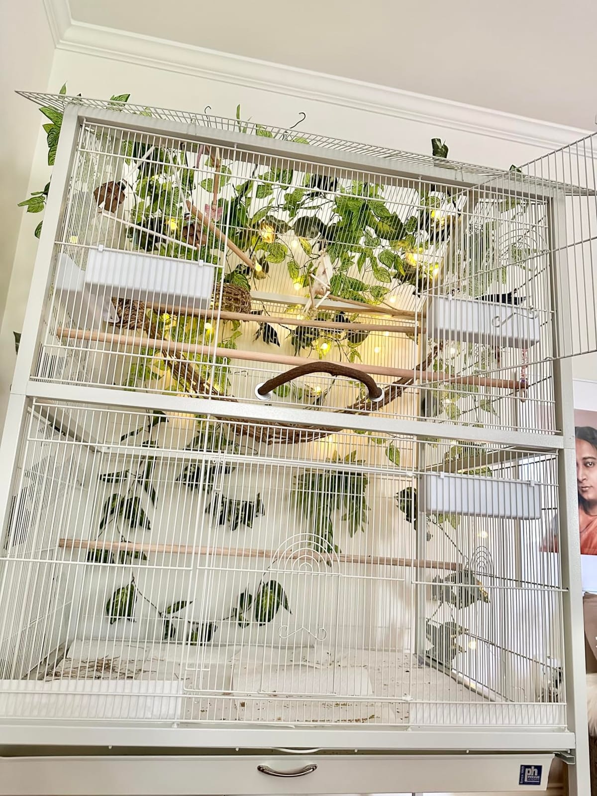 Prevue Pet Products Wrought Iron Flight Cage with Stand, Large Birdcage for Pets, Metal Cage Standing Birdcage, Black Hammertone Finish | Large Birdcage for Parakeets, Canaries, Finches, Cockatiels, Lovebirds, & Green Cheeks customer photo 1