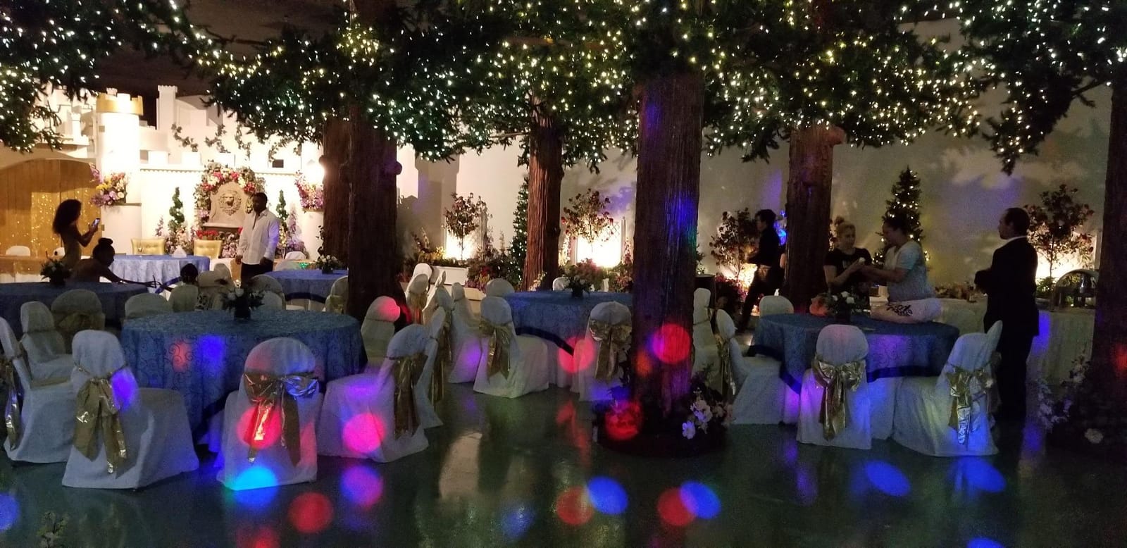 CHAUVET DJ Derby X RGB LED Derby w/Static, Blackout, Strobe Effect Light & Automated/Sound Active Programs customer photo 2