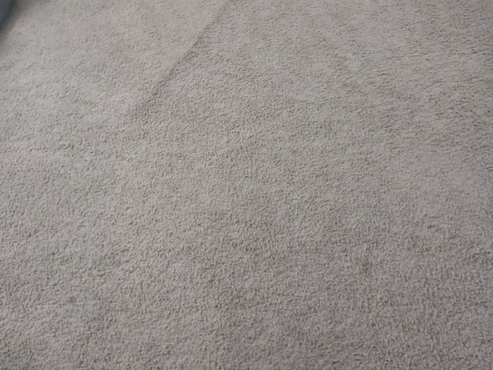 Bissell Natural Sweep Carpet and Floor Sweeper with Dual Brush Rotating System and 2 Corner Edge Brushes, 92N0A, 4.2 lb. customer photo 1