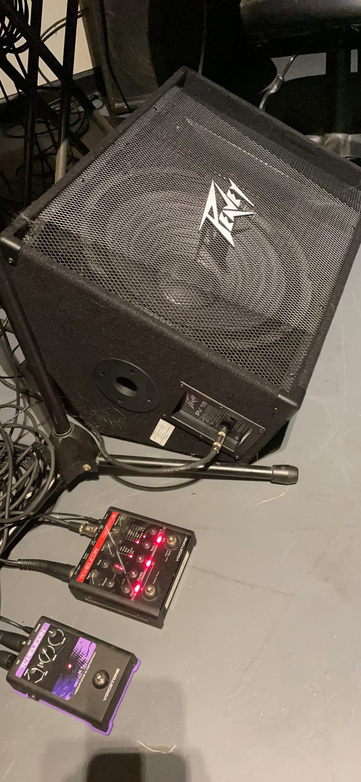 Peavey PV 12M 2-Way Floor Monitor, 12 Inch (Passive) customer photo 1