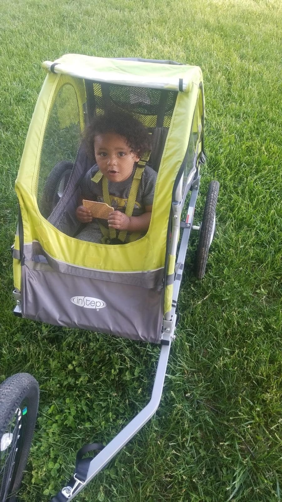 Instep Sync Single Seat Bike Child Trailer, Max Weight 40 lbs., 5-Point Harness, Folding Frame, Quick Release Wheels, Easy Storage, Bug Screen & Weather Shield, Green/Grey customer photo 1