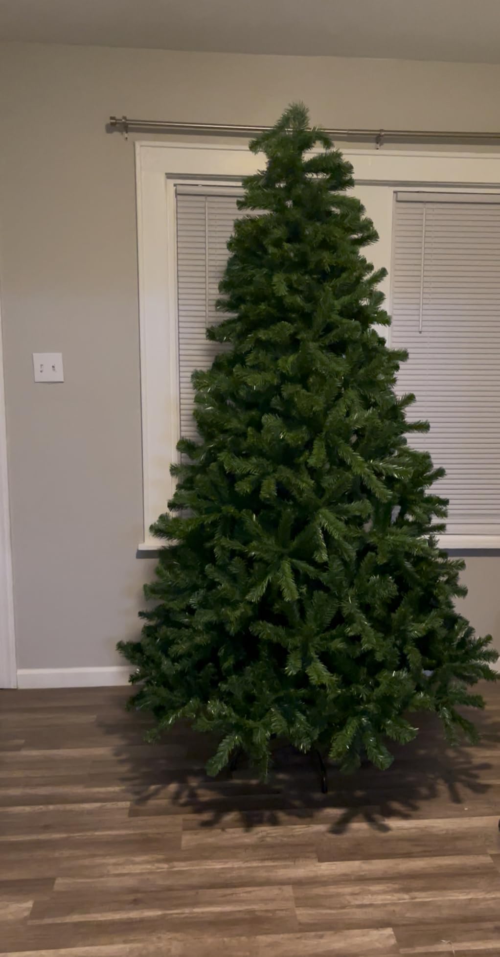 National Tree Company 7.5ft Unlit North Valley Spruce Christmas Tree customer photo 2